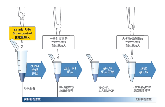 qpcr-qa工作流程及职责权限